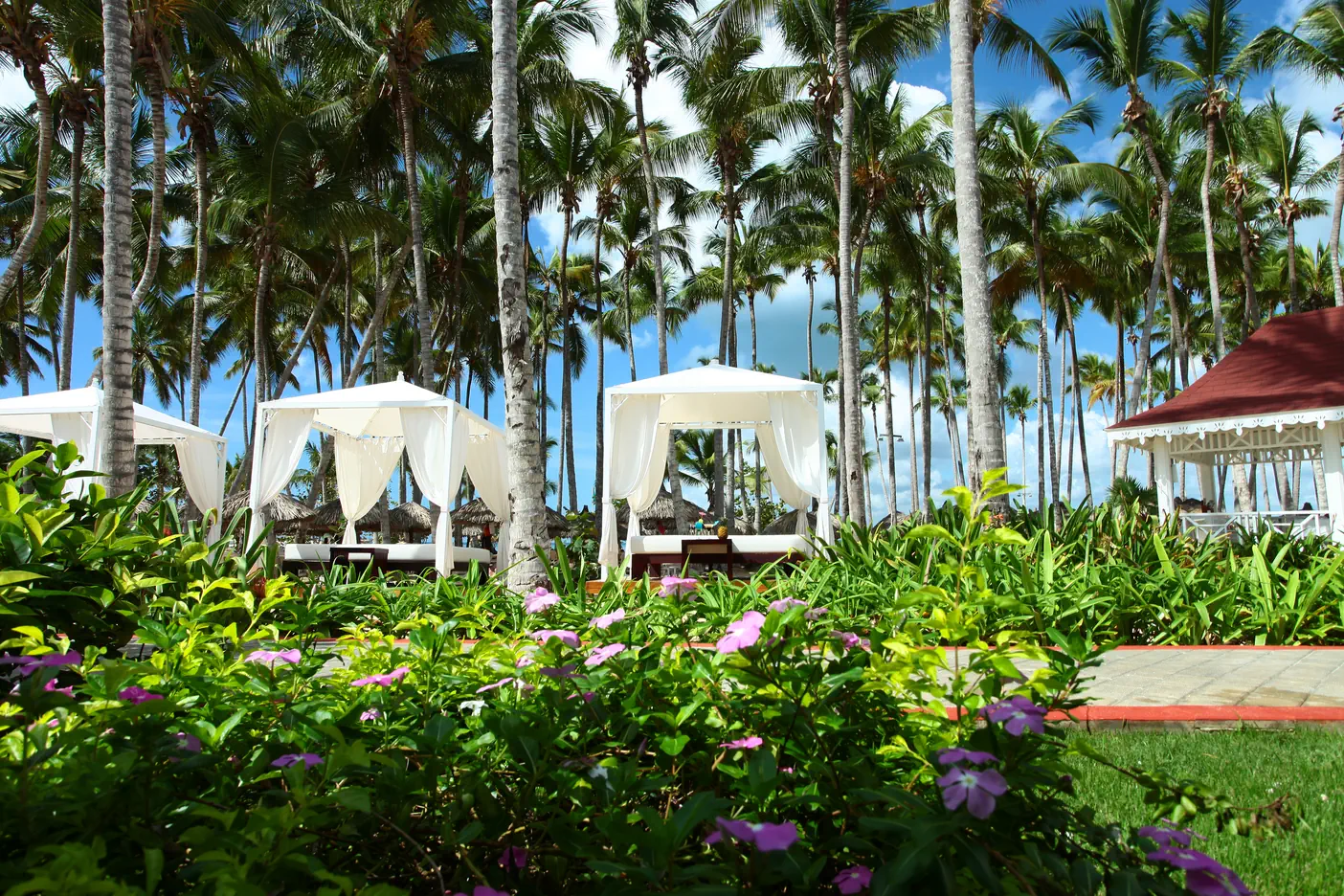 Luxury Bahia Principe Bouganville - zdjęcie 4