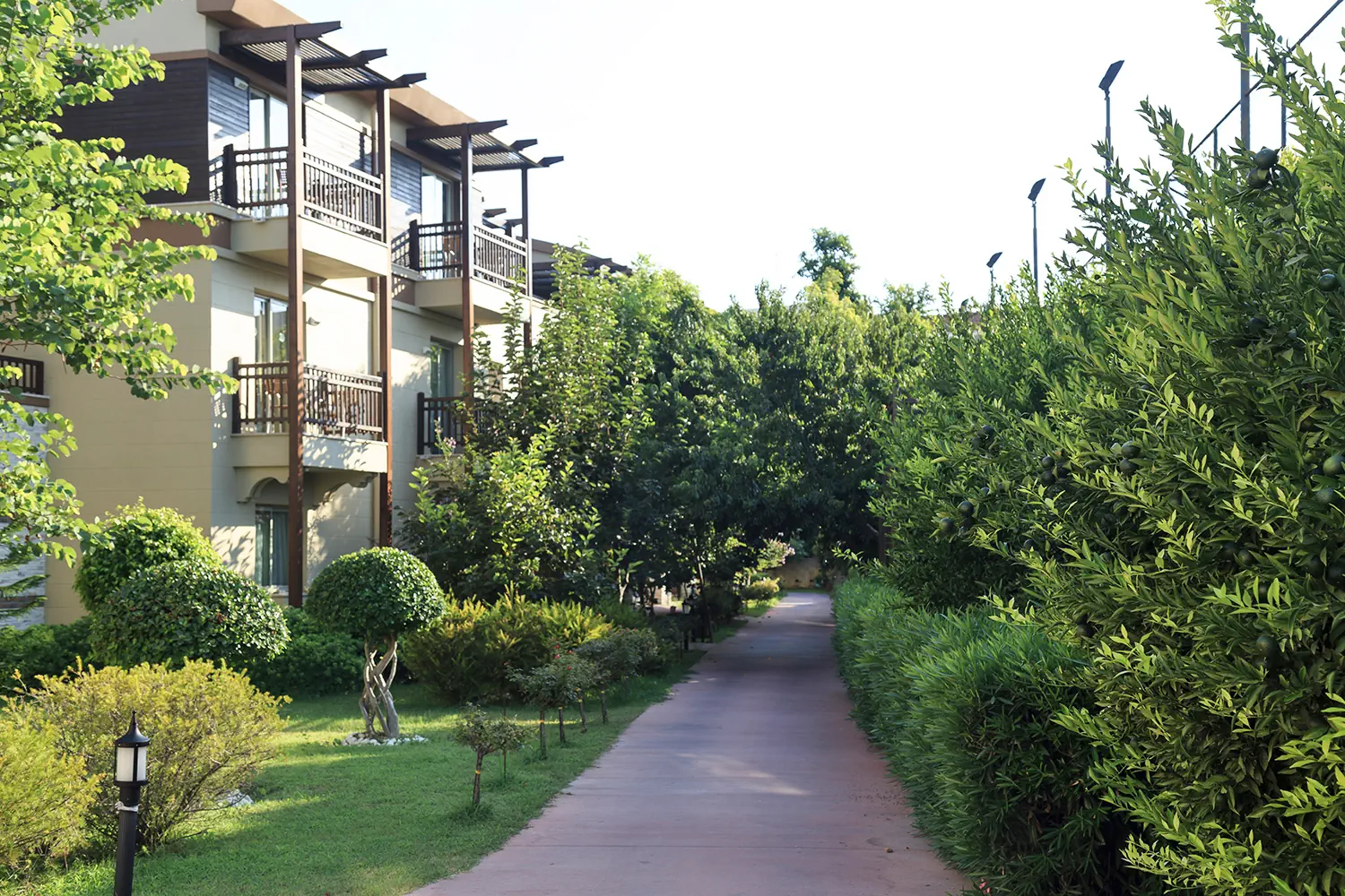 Sunis Kumkoy Beach Resort & Spa - zdjęcie 7