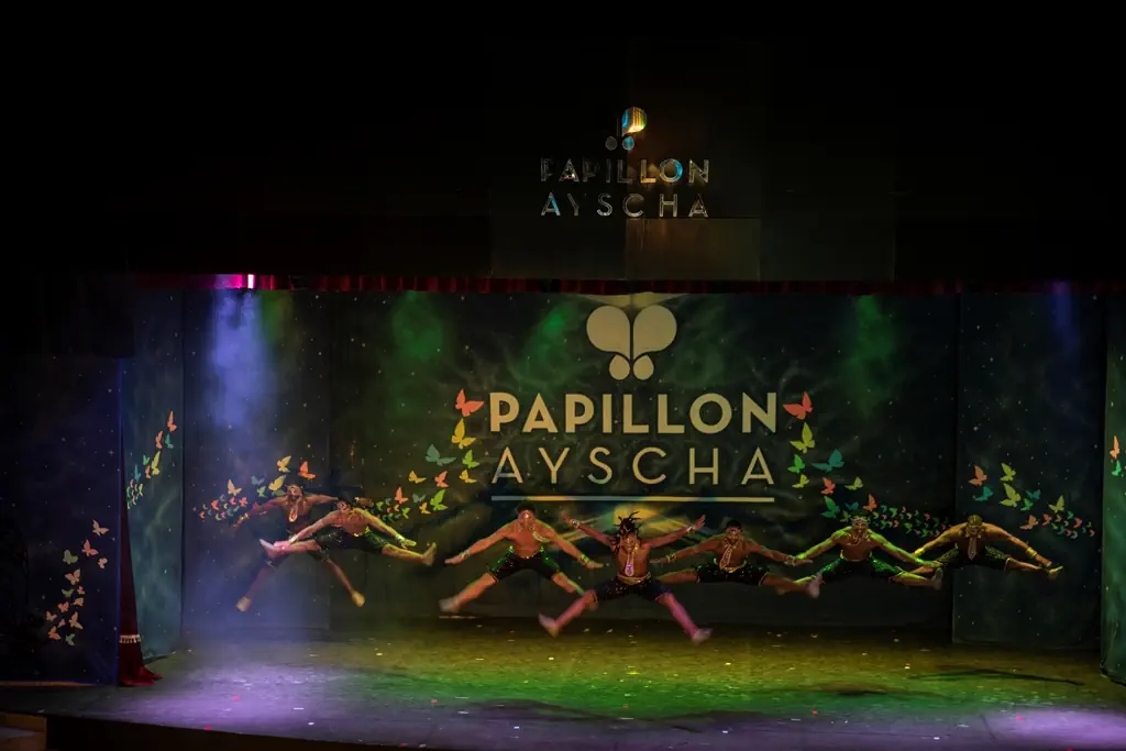 Papillon Ayscha - zdjęcie 167