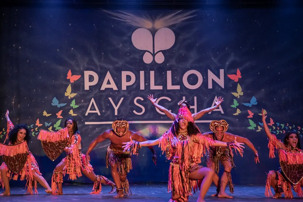 Papillon Ayscha - zdjęcie 168