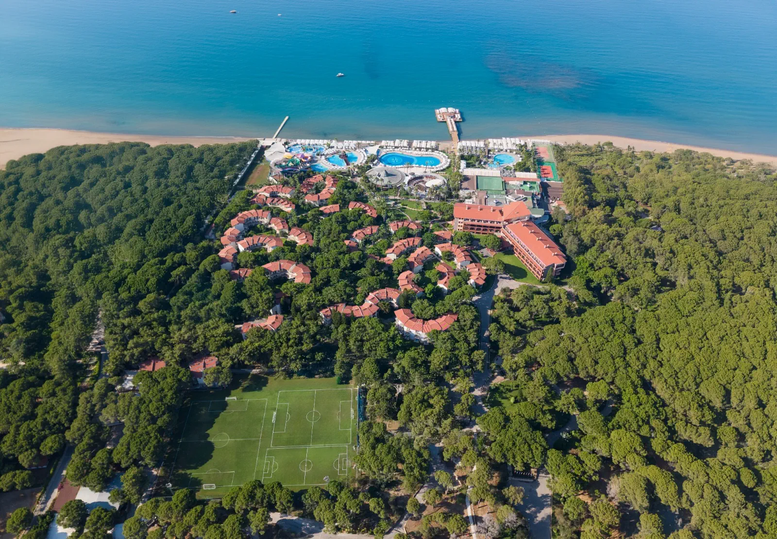 Papillon Belvil Club - zdjęcie 7