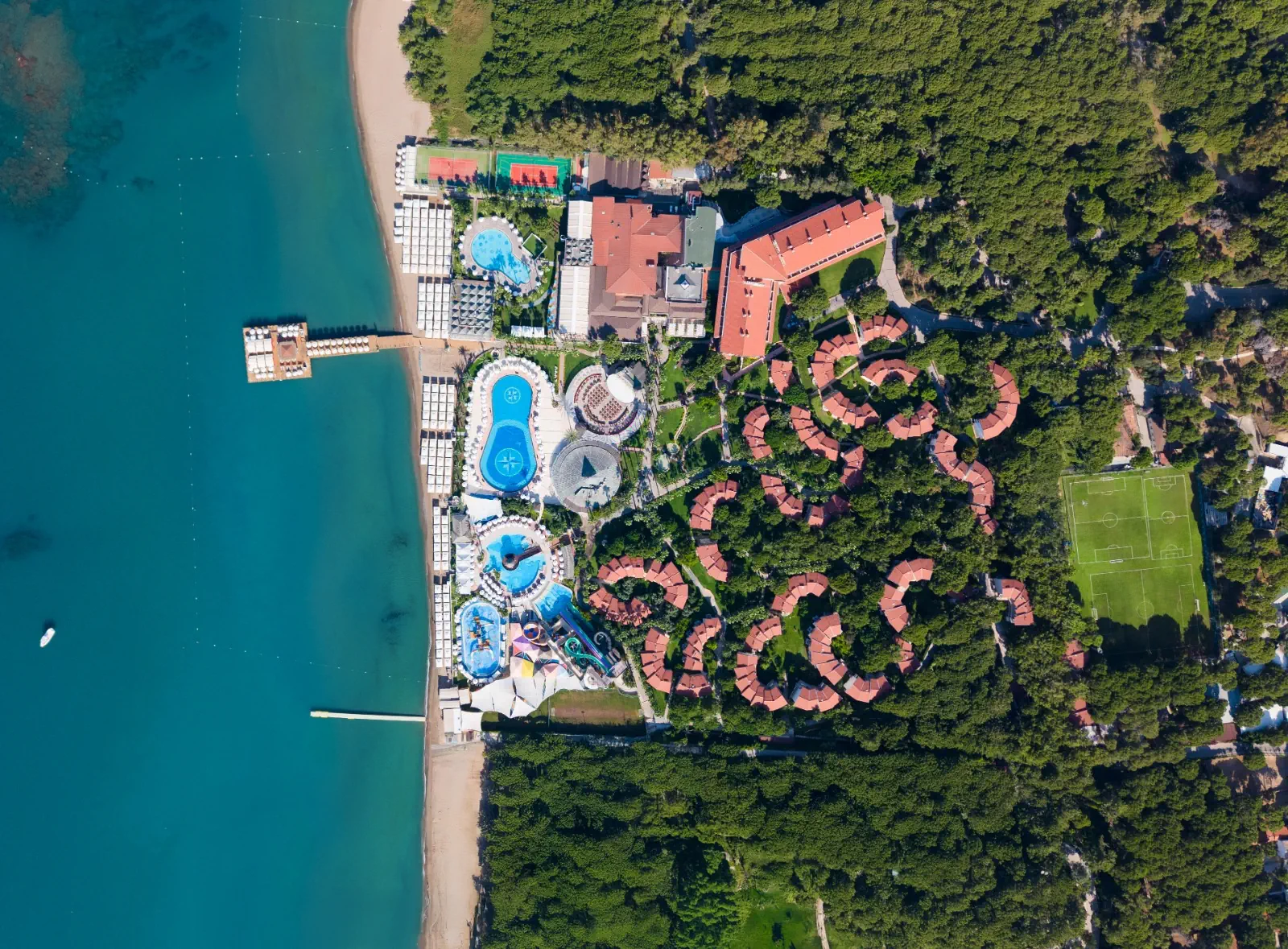 Papillon Belvil Club - zdjęcie 8