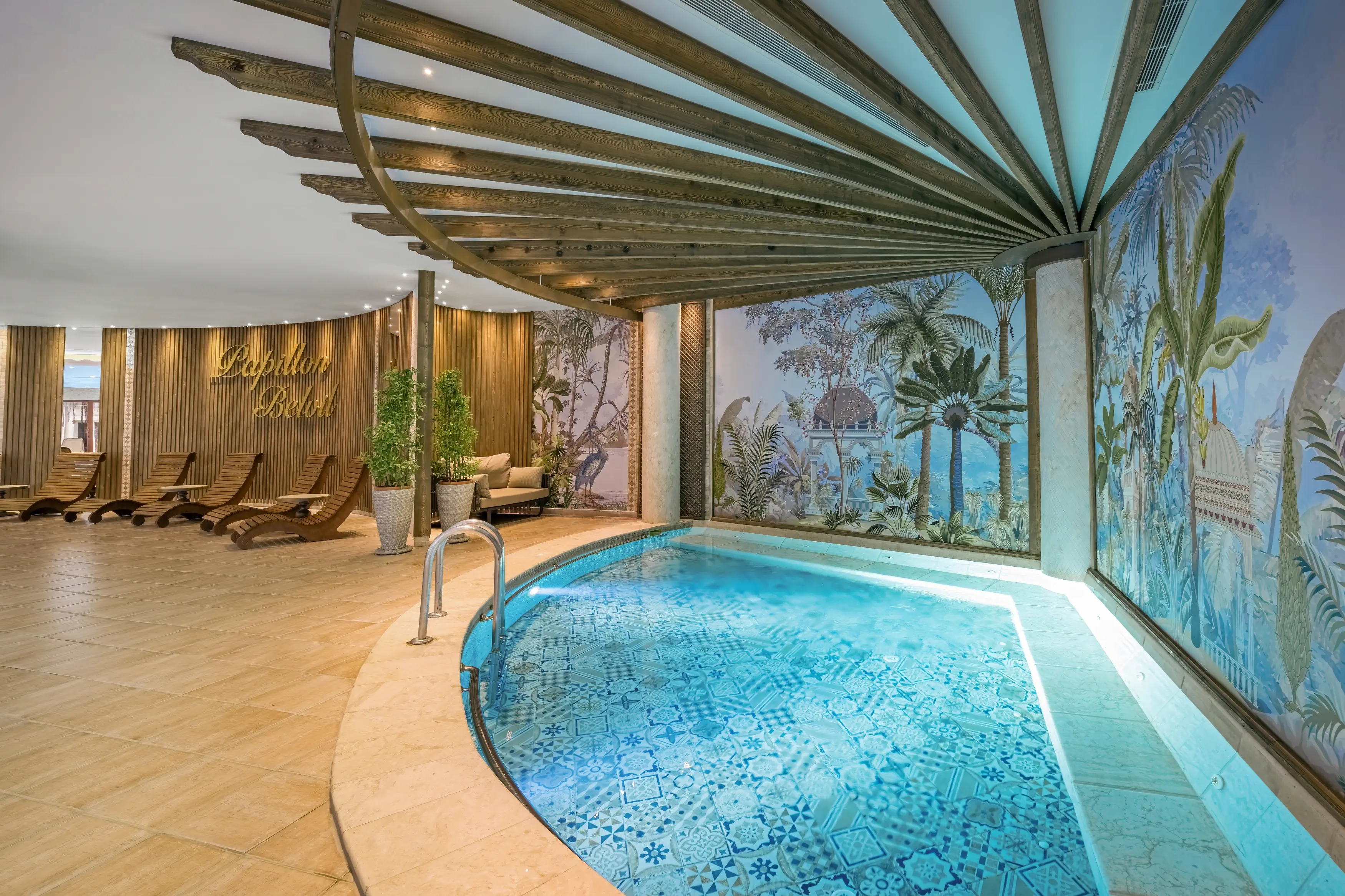 Papillon Belvil Club - zdjęcie 65