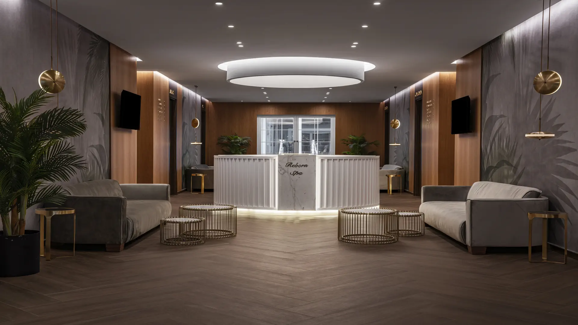 Papillon Belvil Club - zdjęcie 83