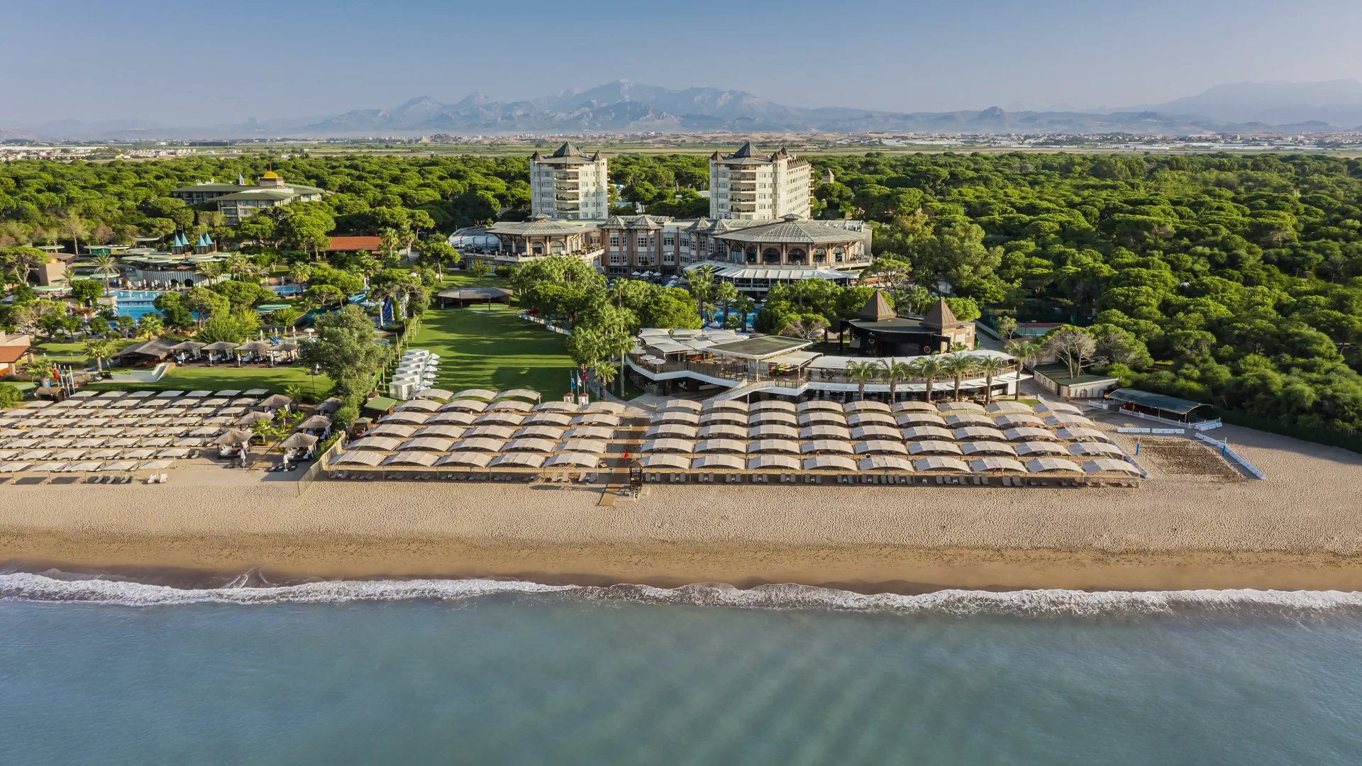 Papillon Zeugma Reluxury - zdjęcie 2